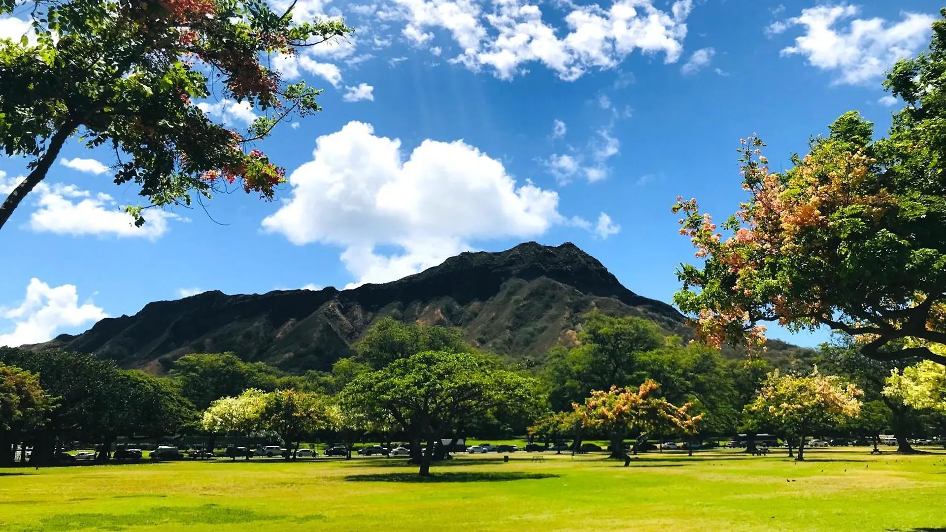 Royal Kuhio 1606 - Spacious Studio With Diamond Head City Views In The Heart Of Waikiki! Honolulu 0*,